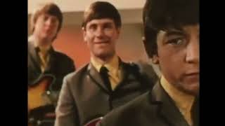 The Animals - House Of The Rising Sun (1964)