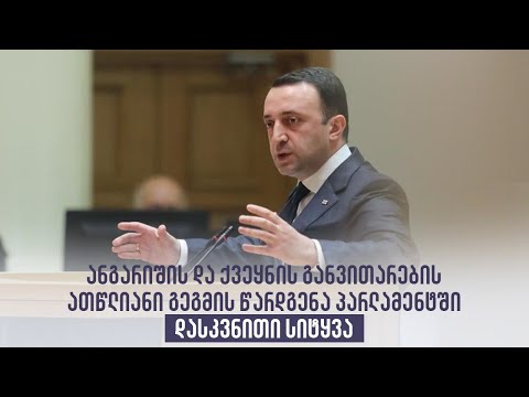 ანგარიშის და ქვეყნის განვითარების ათწლიანი გეგმის წარდგენა პარლამენტში - დასკვნითი სიტყვა