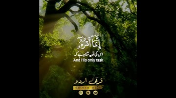 🤍إنما أمره إذا أراد شيئا أن يقول له كن فيكون🤍سورة يس:٨٢|شريف مصطفى|Ya Seen:82|Sherif Mostafa