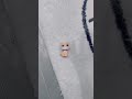 cutecatoftiktok cutekitten cutepetsoftiktok foryou cat... #Shorts #catonline520