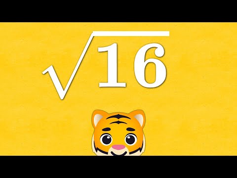   16