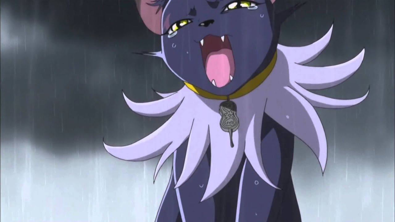 猫好きさん必見 色んな種類の猫たちが登場するアニメのまとめ エントピ Entertainment Topics