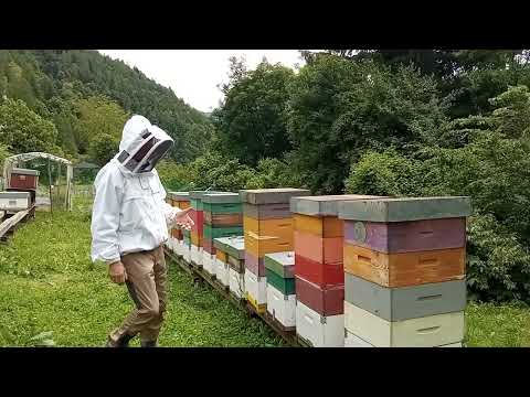 Nomadismo e gestione