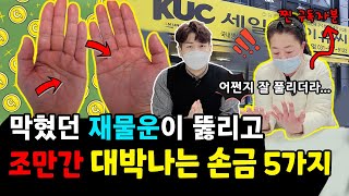 나에게 재물과 행운을 가져다 주는 손금 5가지 ! 많이 있으면 대박!