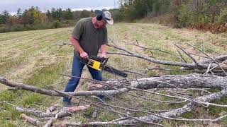 McCulloch Pro Mac 610 cutting some White Ash