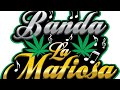 Banda La Mafiosa Intro El sinaloense,La cuochi,Corrido de Mazatlan