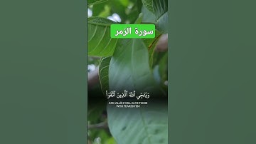 سورة الزمر تلاوة خاشعة #تلاوات_خاشعة #قرآن ##راحة_نفسية #احمد_العجمي #فارس_عباد