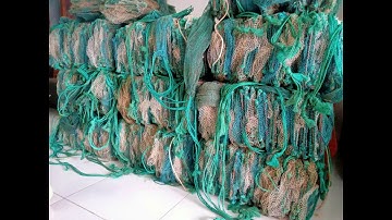 Lú chỉ củ, lộp chỉ củ, 12 cửa ngục chỉ củ, nò củ. Hàng đẹp giá tốt 0963818136