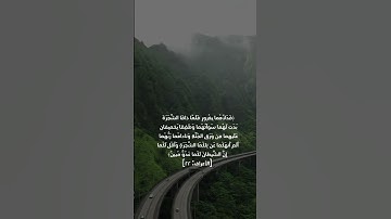 ابداع منقطع النظير من سورة الاعراف للقارئ نور ابو حسن #قرآن #اكسبلور #فولو #راحة_نفسية #لايك #دويتو