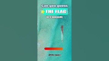Can you guess the flag in 5 seconds? #shorts #quiz #flag #libraquiz #triviagames