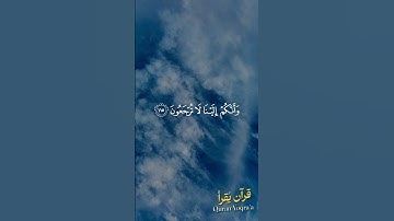 أفحسبتم أنما خلقناكم عبثا #سورة_المؤمنون #القرآن_الكريم #احمد_العجمي #اكسبلور#راحة_نفسية #لايك #الله