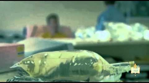 Ethical Treatment of the Mentally Disabled | Lesson 5