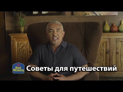 Цезарь Миллан о путешествиях с собакой