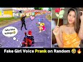 Fake Girl Voice Prank | Trolling Random teammate in BGMI | Funny ending 😂💔