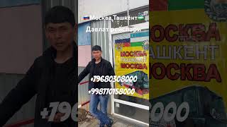 москва ташкент автобус санктпетербург шортс узбекистан нижнийновгород 2023shorts казань