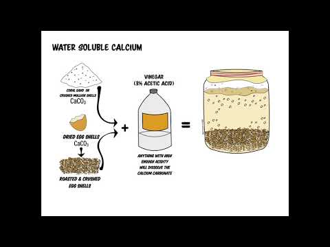 Water Soluble Calcium - a KNF Prep from REGENERATIVE SOIL (Course Excerpt)