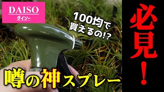 【知らなきゃ損！】観葉植物の葉水が10倍楽しくなるスプレー【ダイソーの霧吹き】【100均園芸】