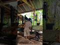 Satisfying Sengon Wood Cutting | Amazing Sawmill Skills