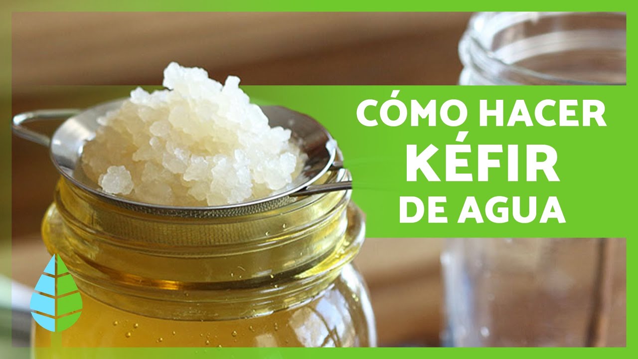 BENEFICIOS del KÉFIR de AGUA 🍹✓ (Cómo hacer KÉFIR de AGUA y Cómo TOMARLO)  