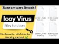 Looy virus solution  looy files decrypt  removal guide  looy files recovery