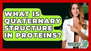 What Is Quaternary Structure In Proteins? - Biology For Everyone