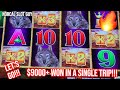 Over 9000 won betting big on buffalo link lightning link  dragon link  norcal slot guy