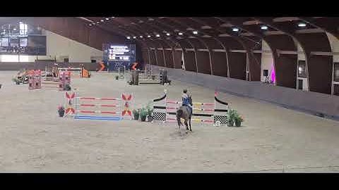 Fantasie VHW Z (2011 Filou de Muze) clear 1.35 CSI2* Samorin