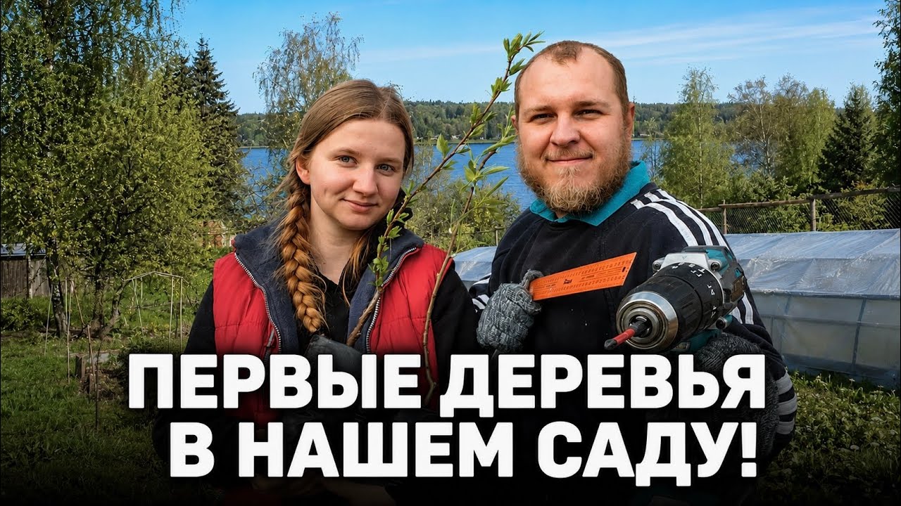 ЕДЕМ В ЧКАЛОВСКИЙ ПЛОДОПИТОМНИК | Высаживаем первые деревья и смородину | план участка