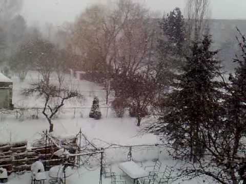 TORONTO之风雪月