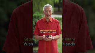 2026 Chinese New Year and Ramadan Greetings