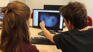 Master’s Programme Systems Biology