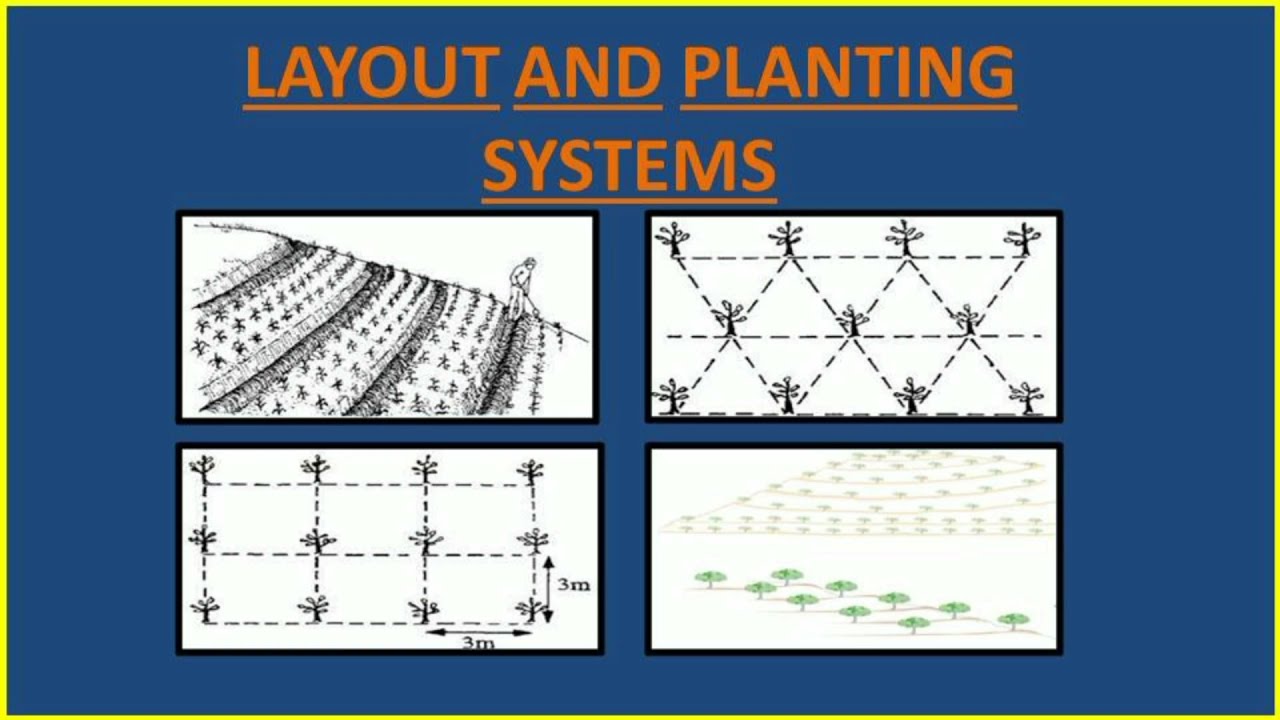 Layout and Planting System by Divyansh Bajala #FRTS121