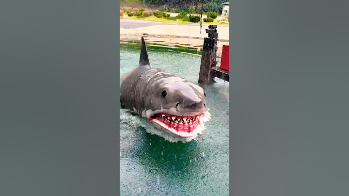 Jaws : Studio Tour | Universal Studios Hollywood  #jaws #shark #universalstudios #studio #tour #fyp