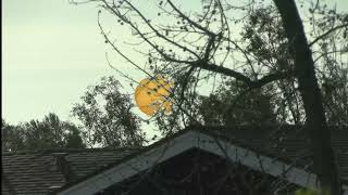 Sunset with solar filter on scenery with no filter, Feb  22, 2025