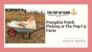 Pop Up Farm #Pumpkin #PumpkinPicking #Halloween #Farm #PumpkinPatch