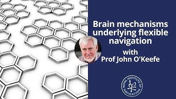 Brain mechanisms underlying flexible navigation with Prof John O