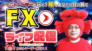 2020/11/3（火）《大統領選、今日から荒れるのか！？》FXライブ実況生配信専門カニトレーダーが行く! 生放送734回目