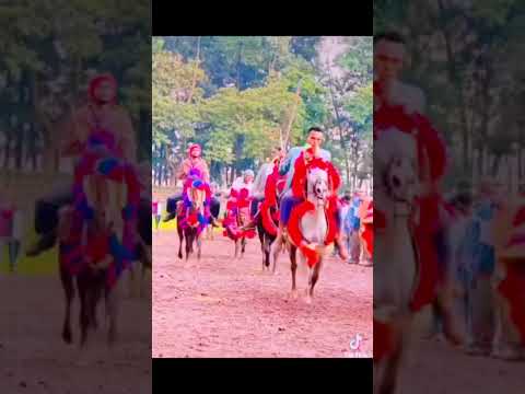 Jimaan Araa Haala Kanan Gamachuu Hidhaa Abay Dabarsaa Olaan 17 2025