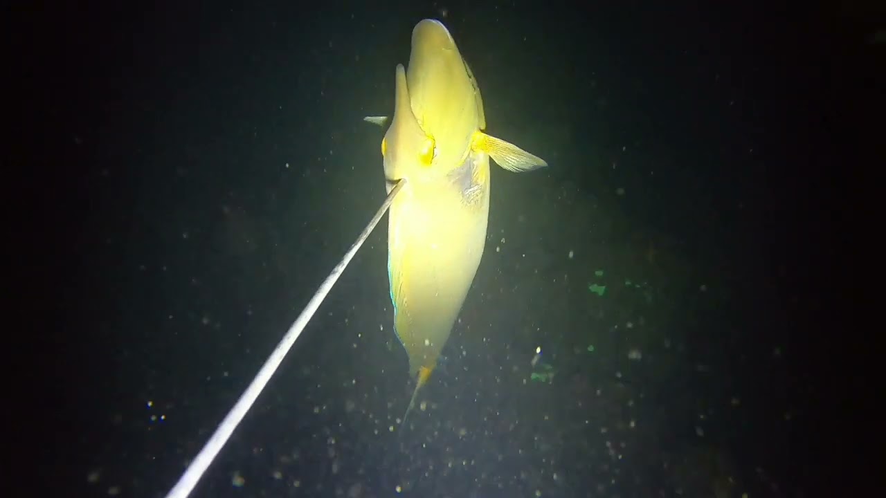 Dive 20 Ito napo yong full vidio sa unlined surahan thank you Lord 🙏❤️🤙👏 