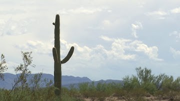 BorderReport.com Tour | Arizona Wall Construction