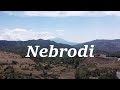 Nebrodi - Sicily - Anomalouseye