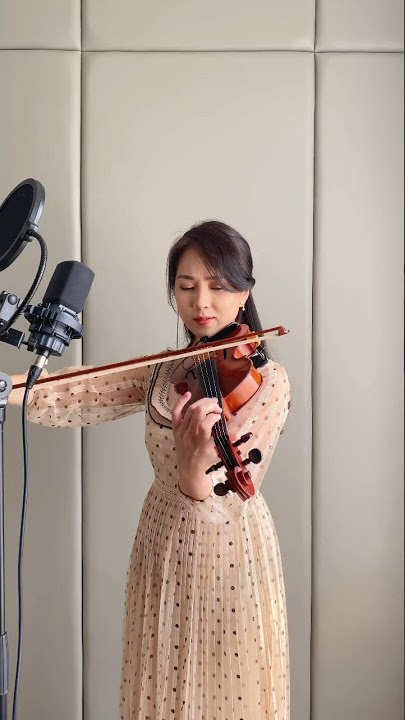 Gugur Bunga #violincover #violinist #lagunasional #dirgahayuindonesia #soloviolinist #musician
