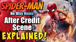 Information Spider-Man No Way Home After Credit Scene Explained Guide