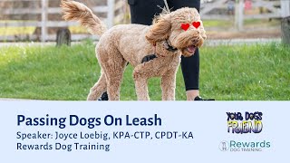Passing Dogs on Leash: Skills for Success  2-24-2024 by YourDogsFriend 559 views 1 month ago 1 hour, 38 minutes