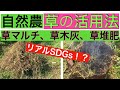 リアルSDGs!? 【自然農】草の活用法　草マルチ、草木灰、草堆肥