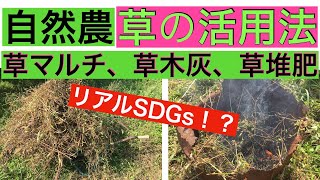 リアルSDGs!? 【自然農】草の活用法　草マルチ、草木灰、草堆肥