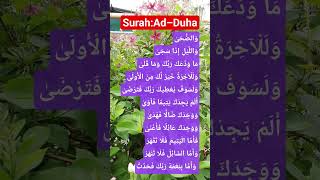 Surah:Ad–Duha #egzonibrahimi #quran #holyquran #islamicvoice #surah