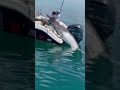 Fish jumbo catch