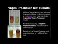 Microbiology: Voges-Proskauer Test