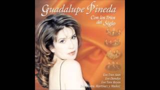Video thumbnail of "Perdon - Guadalupe pineda"